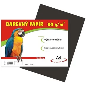 Papier für den Kunstunterricht A4/100/80g schwarz